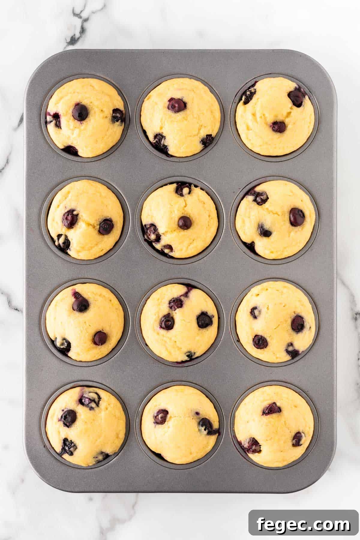 greek yogurt blueberry muffins in the pan