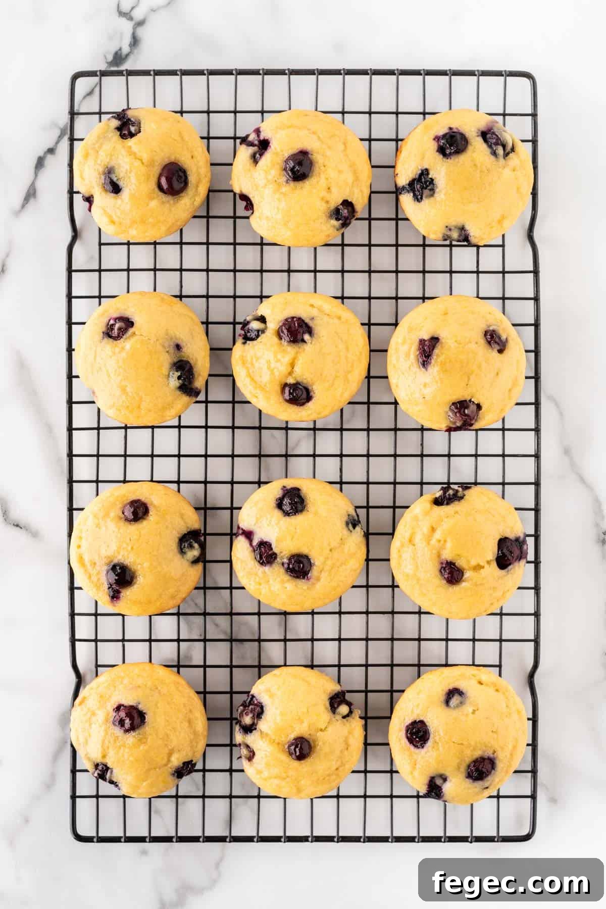 yogurt blueberry muffins on a cooling rack