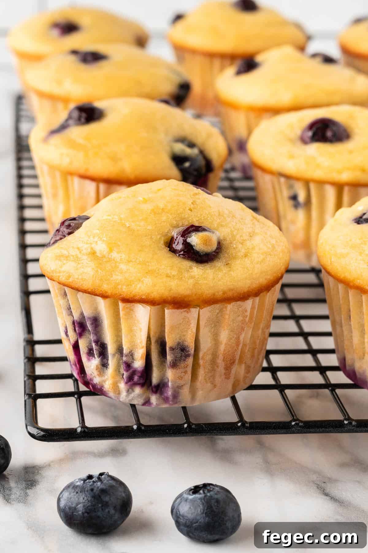 yogurt blueberry muffins on a cooling rack