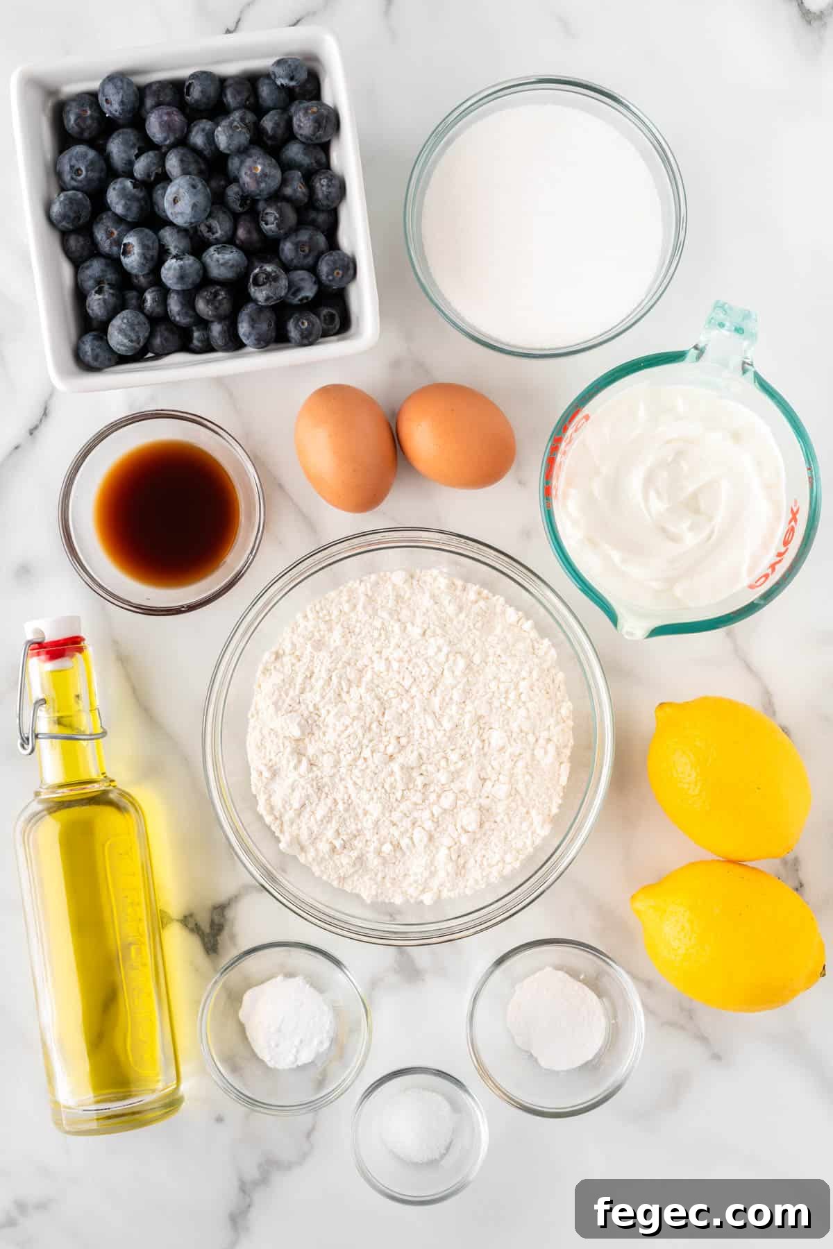 ingredients needed to make yogurt blueberry muffins
