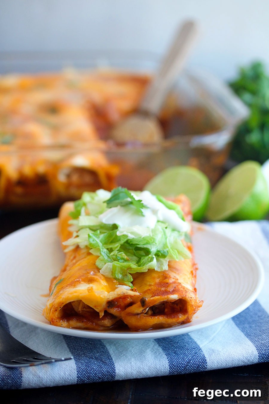 a plate with two instant pot chicken enchiladas on it.