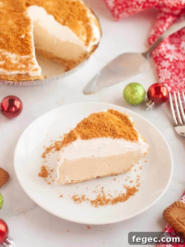 Slice of no bake gingerbread cream pie