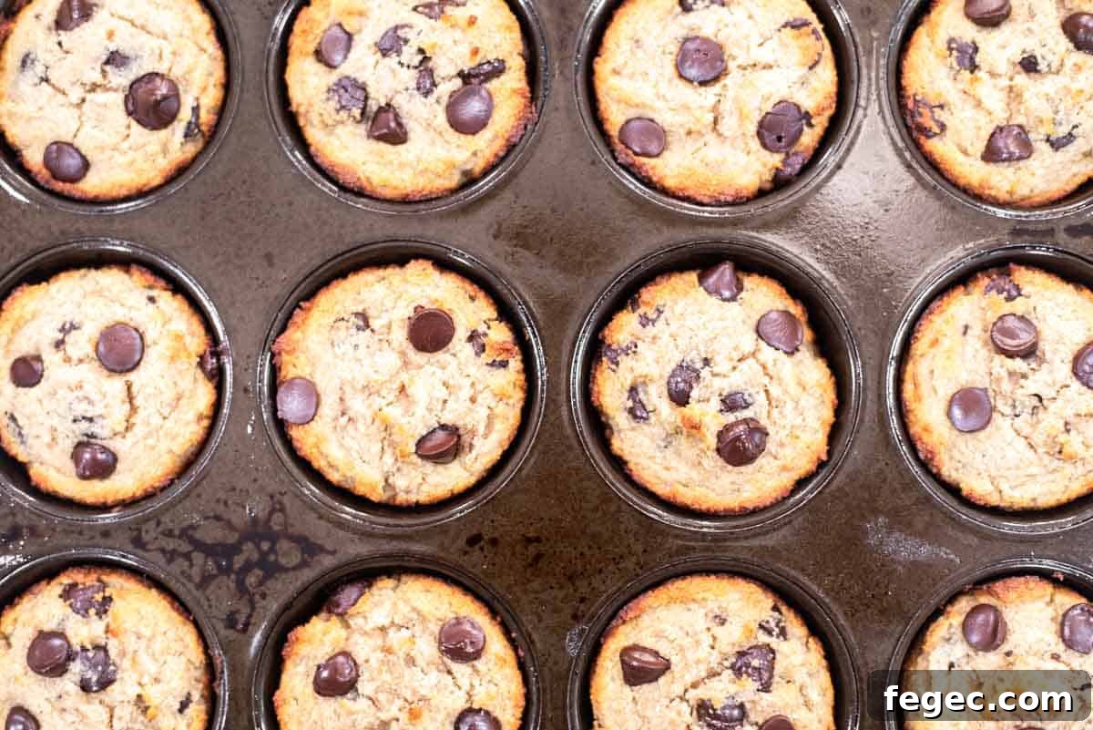 Baked almond flour banana muffins.