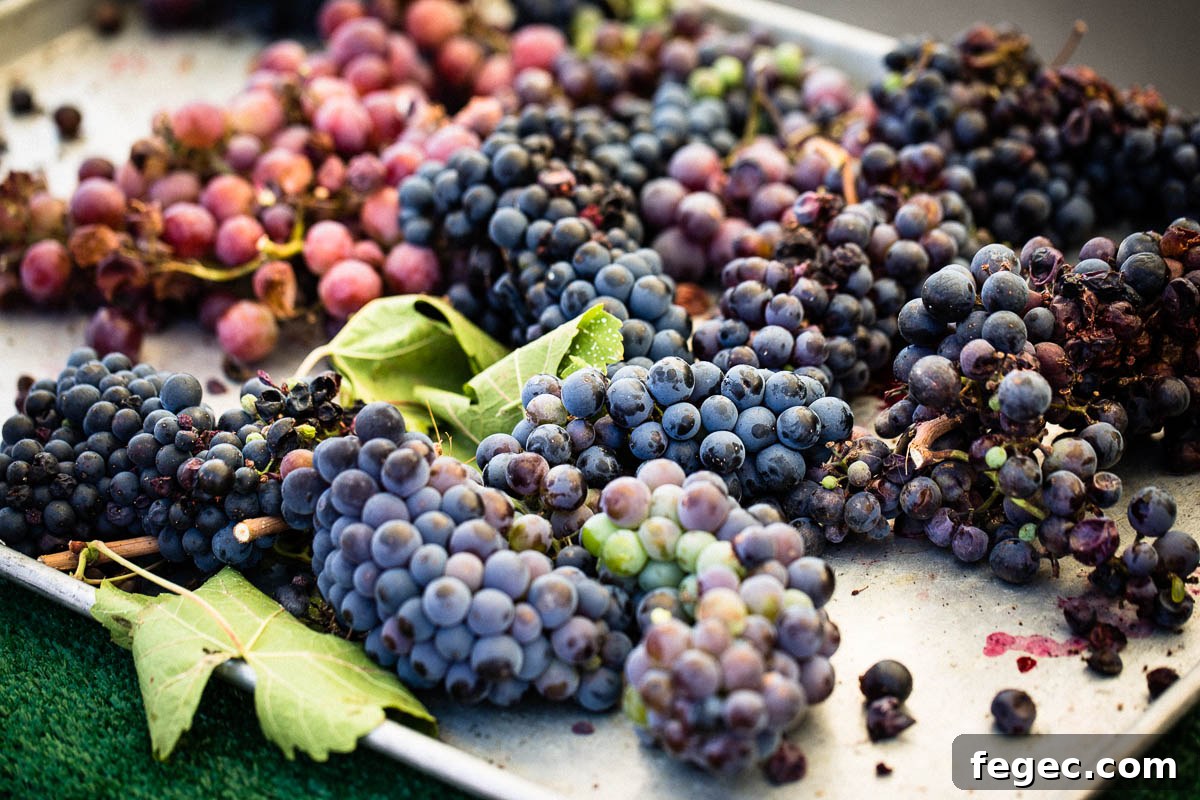 grapes at farmers market