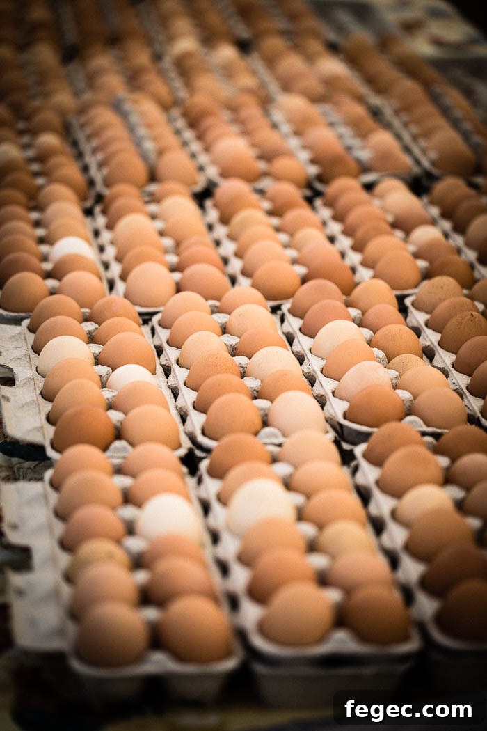 eggs at farmers market