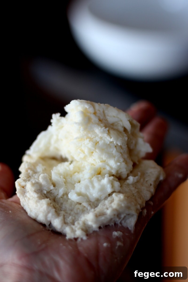 A hand holding some of the dough for a cheese stuffed dumpling.