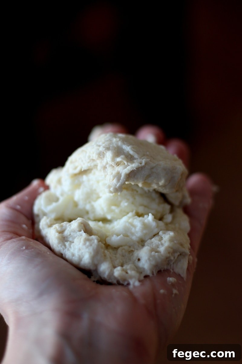 A hand forming a cheese stuffed dumpling.