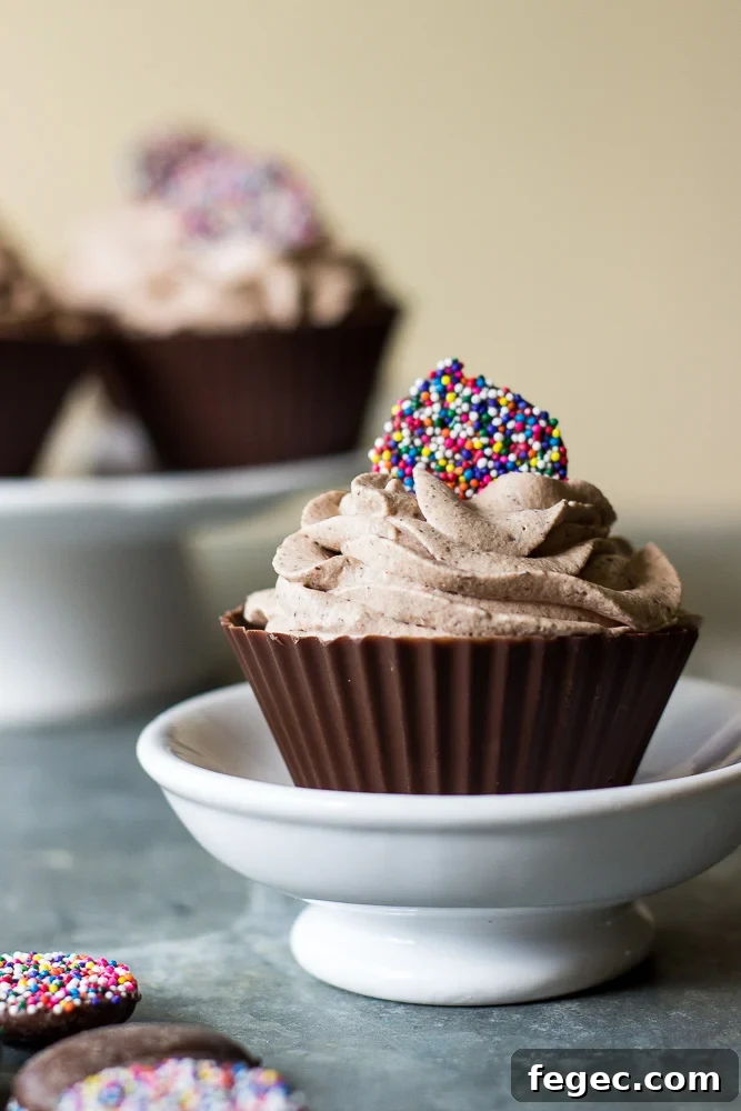 Decadent Chocolate Mousse Served in Crispy Chocolate Cups 2 Easy Chocolate Mousse in Chocolate Cups