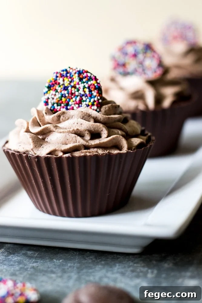Decadent Chocolate Mousse Served in Crispy Chocolate Cups 3 Easy Chocolate Mousse in Chocolate Cups