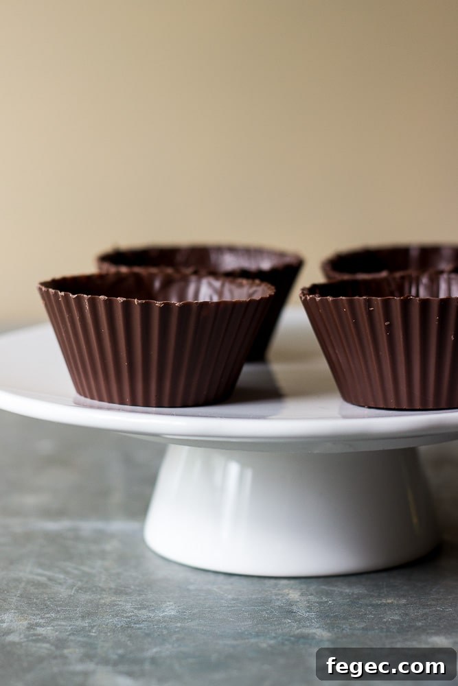 Decadent Chocolate Mousse Served in Crispy Chocolate Cups 5 Easy Chocolate Mousse in Chocolate Cups