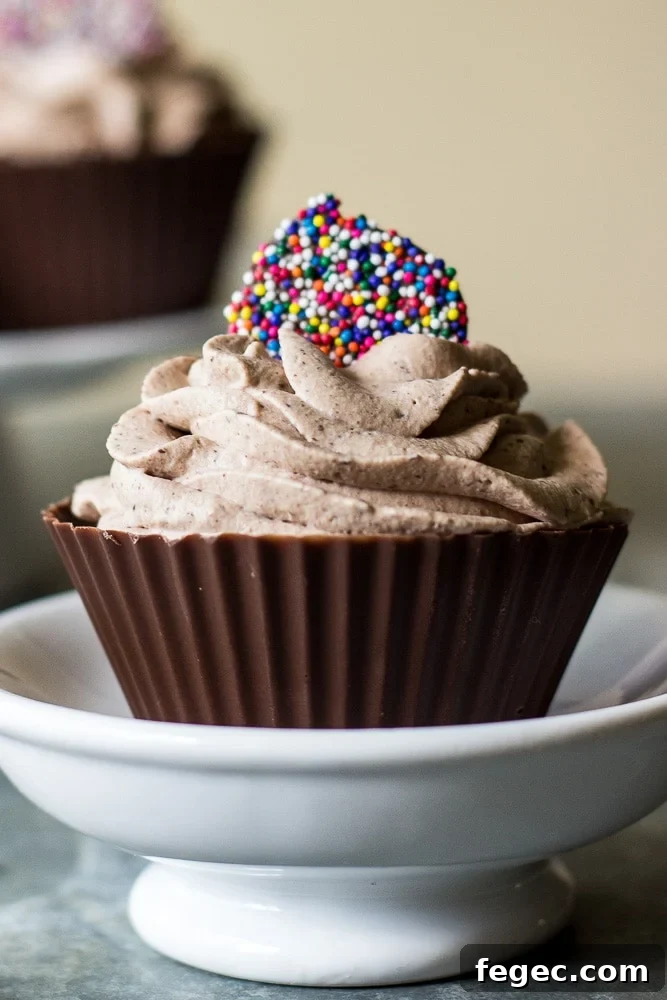 Decadent Chocolate Mousse Served in Crispy Chocolate Cups 6 Easy Chocolate Mousse in Chocolate Cups