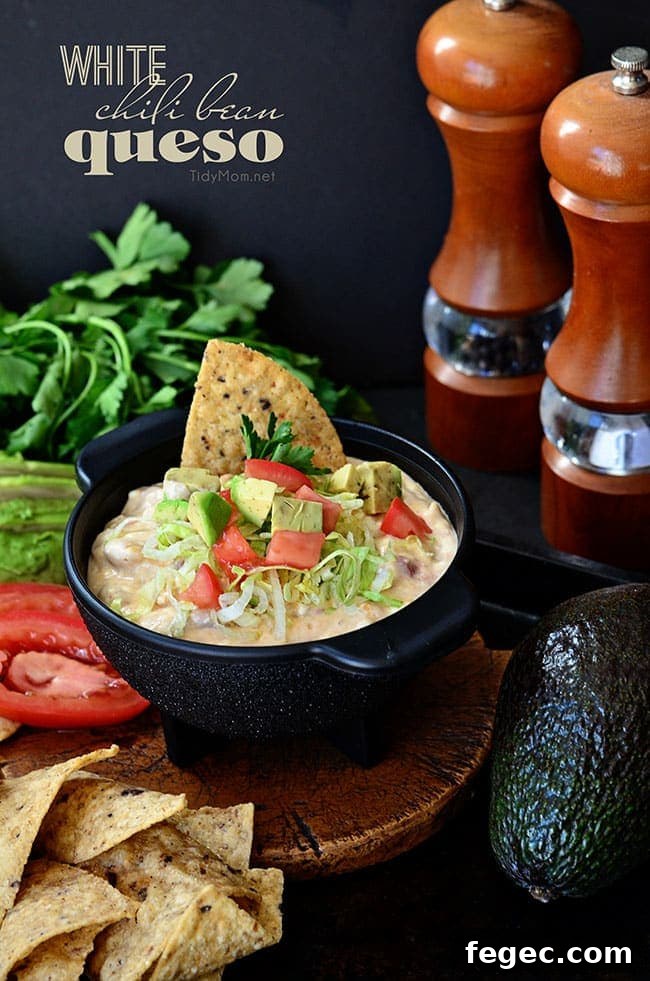 White Chili Bean Queso Dip with zesty tomatoes, cheese and Bush's white chili beans served warm with tortilla chips is sure to be a hit at any party or snack time. recipe at Tidymom.net