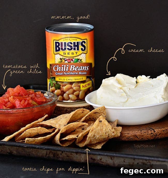 White Chili Bean Queso Dip with zesty tomatoes, cheese and Bush's white chili beans is sure to be a hit at any party or snack time. recipe at Tidymom.net
