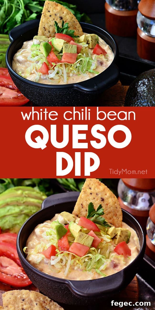 white chili bean queso dip in black Molcajete bowl