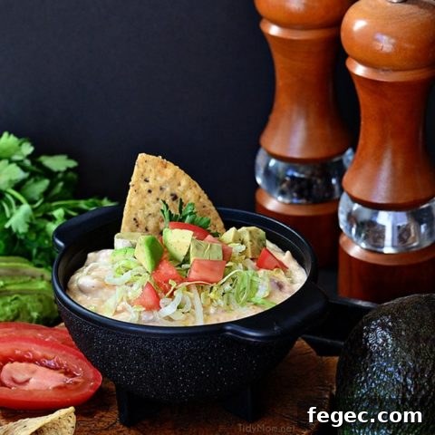 White Chili Bean Queso Dip with zesty tomatoes, cheese and Bush's white chili beans served warm with tortilla chips is sure to be a hit at any party. recipe at Tidymom.net