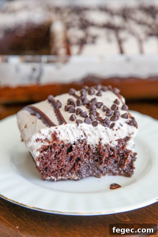 easy chocolate poke cake