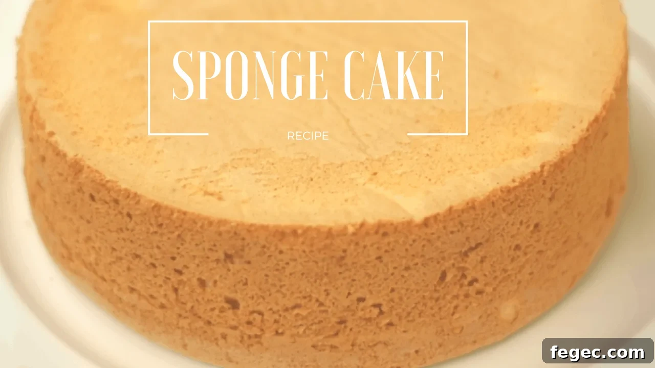 Vanilla sponge cake
