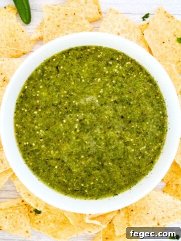 Top down view of a bowl of tomatillo sauce surrounded by nachos.
