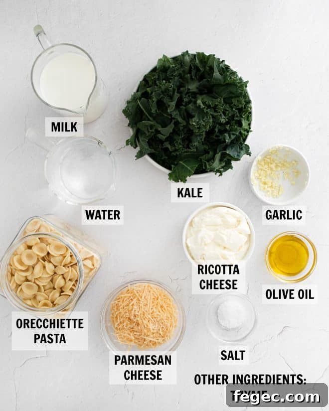ingredients for orecchiette pasta