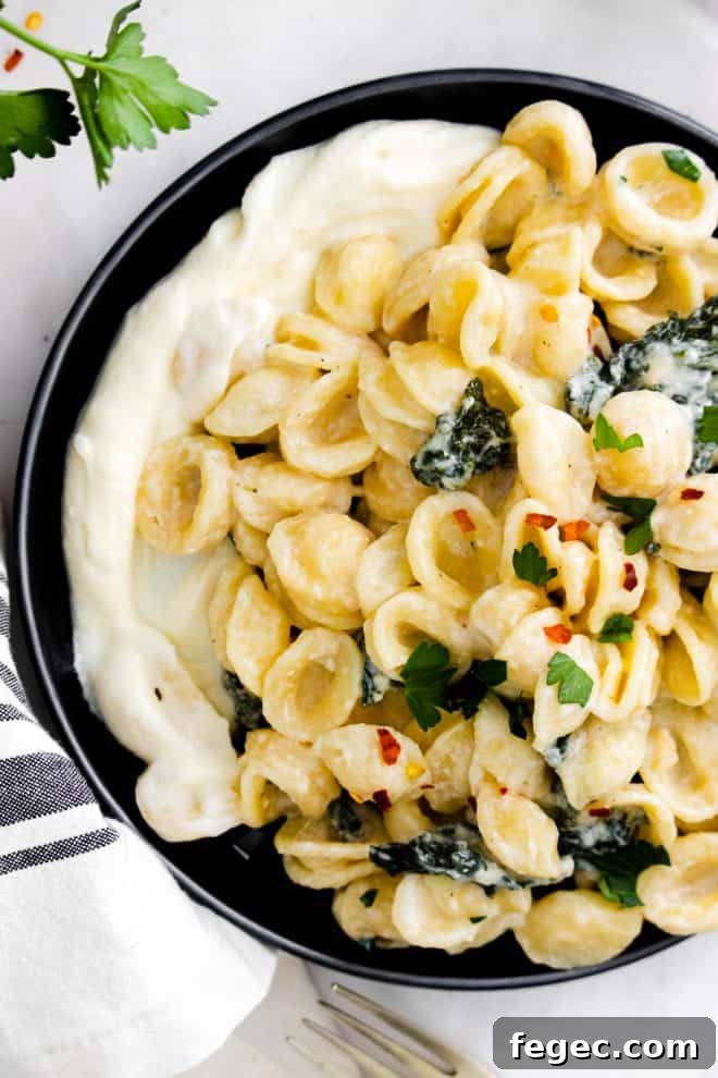 a plate with whipped ricotta and orecchiette pasta