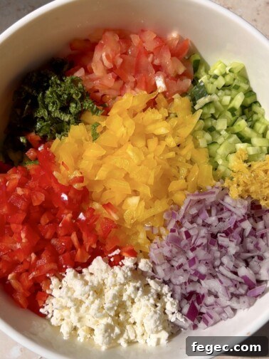 Rainbow Lentil Salad