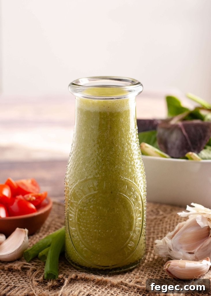 Dairy-Free Cilantro Lime Ranch Dressing Recipe (Vegan) 4 dairy-free-cilantro-lime-vinaigrette