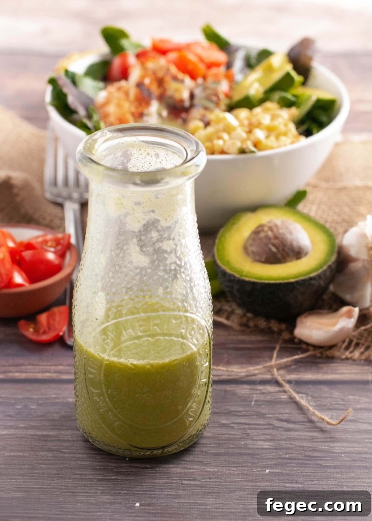 Dairy-Free Cilantro Lime Ranch Dressing Recipe (Vegan) 5 the-best-dairy-free-egg-free-salad-dressing-recipe