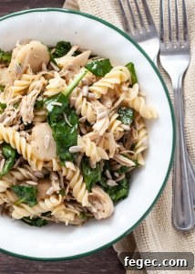 Dairy-Free Cilantro Lime Ranch Dressing Recipe (Vegan) 10 nut-free-asian-spinach-pasta-salad
