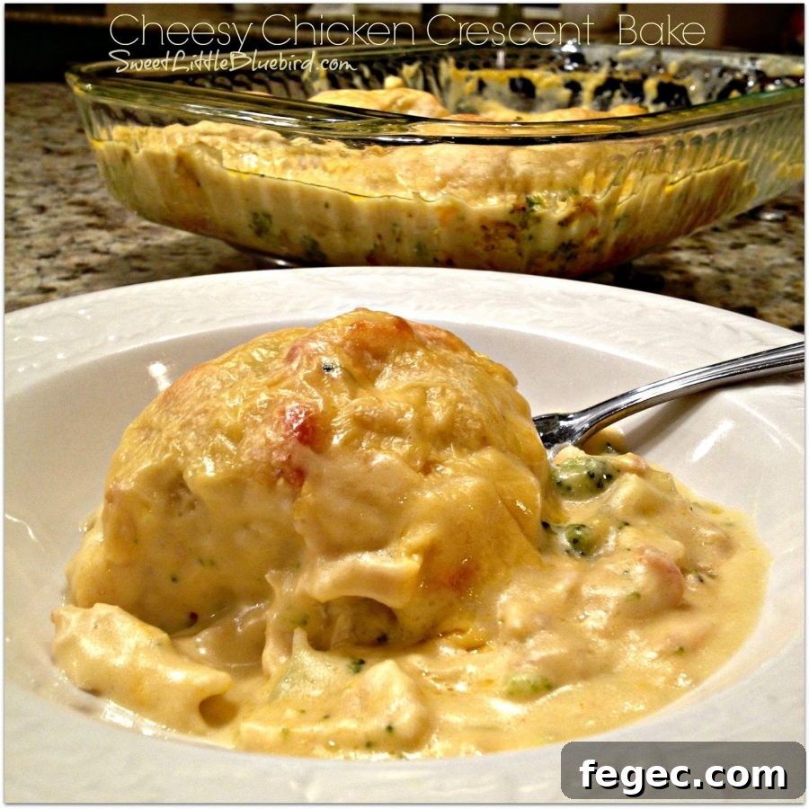 This is a photo of a Cheesy Chicken Crescent Roll served in a white bowl.