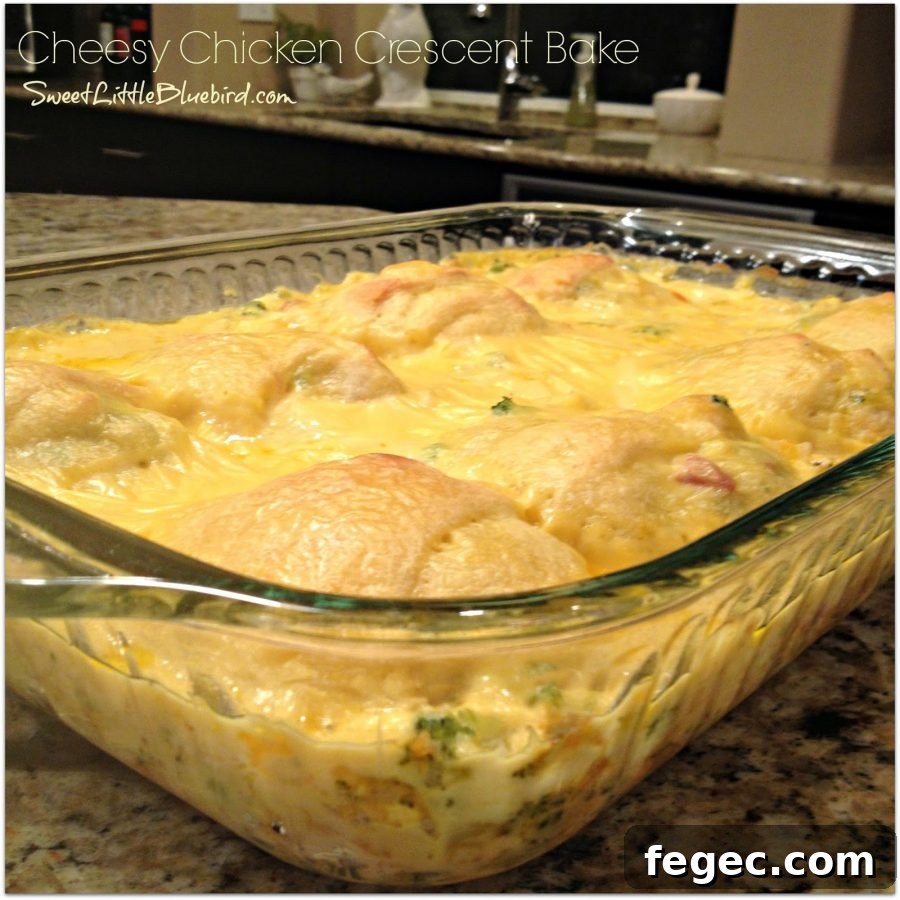 This is a photo of a Cheesy Chicken Crescent Roll after baking in a clear casserole dish.