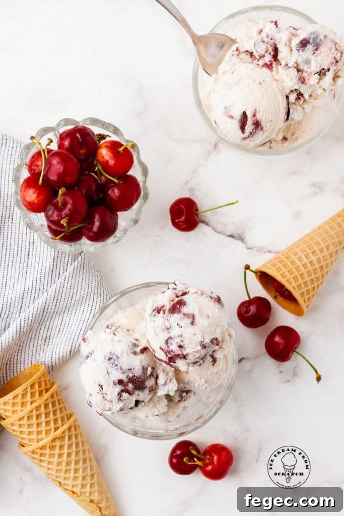 Homemade Cherry Vanilla Ice Cream Recipe for Creamy Summer Treat 6 cherry vanilla ice cream in a bowl next to cherries and ice cream cones