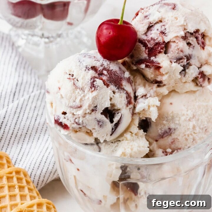 cherry vanilla ice cream in a bowl topped with a cherry