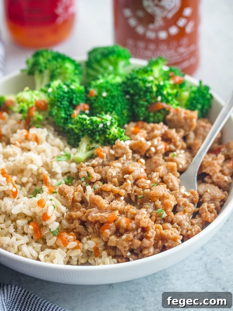 Completed bowl with rice, turkey and broccoli