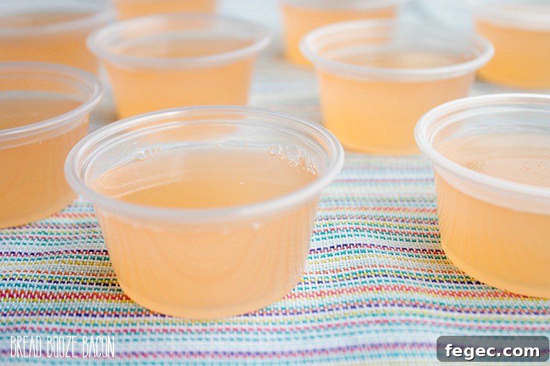 Peach Fizz Jello Shots are about to become your go-to summer cocktail! Super easy to make and crazy good, these shots disappear in a flash!