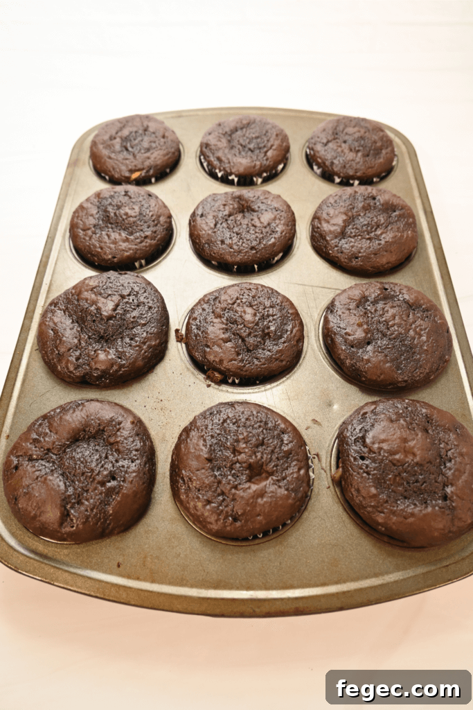Cupcakes finished baking