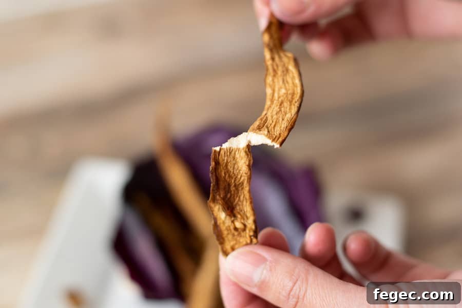 Broken eggplant jerky 
