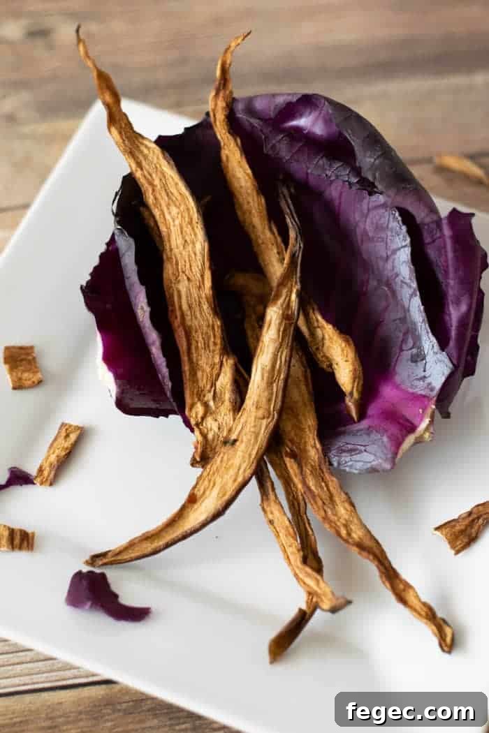 Eggplant jerky on red cabbage on white plate