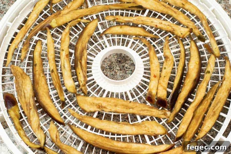 Eggplant jerky on dehydrator tray