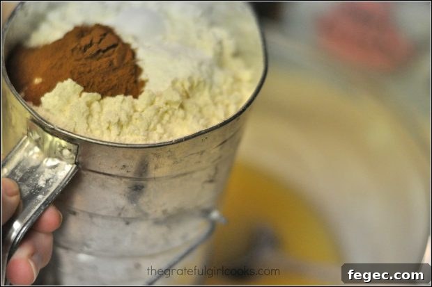 Flour and spices sifted into bowl.