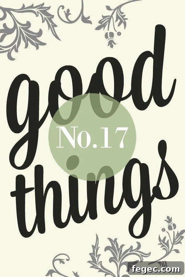 Good Things List No-17 image
