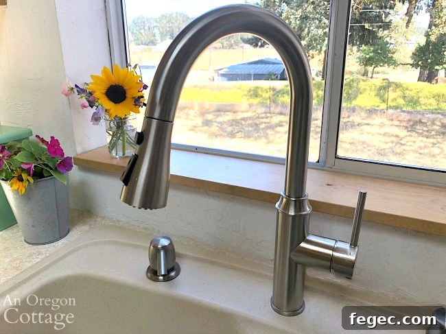 New gooseneck kitchen faucet