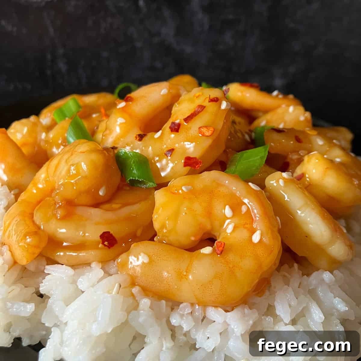 teriyaki shrimp air fryer
