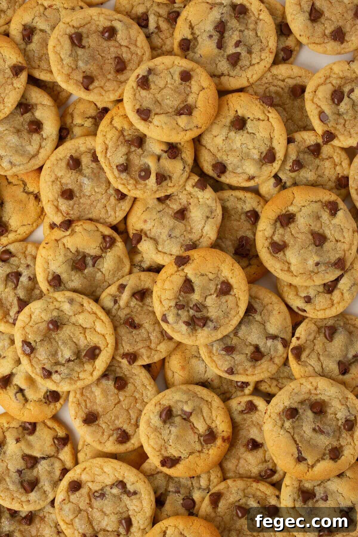 mini chocolate chip cookies