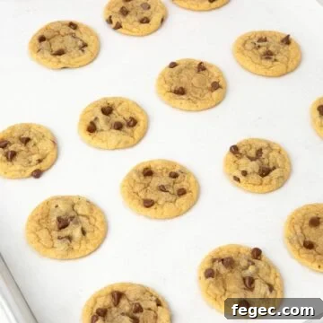 mini chocolate chip cookies on baking sheet lined with parchment paper