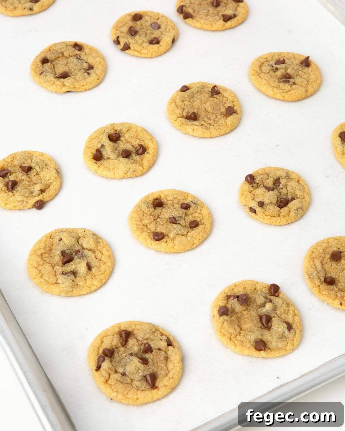 mini chocolate chip cookies on tray