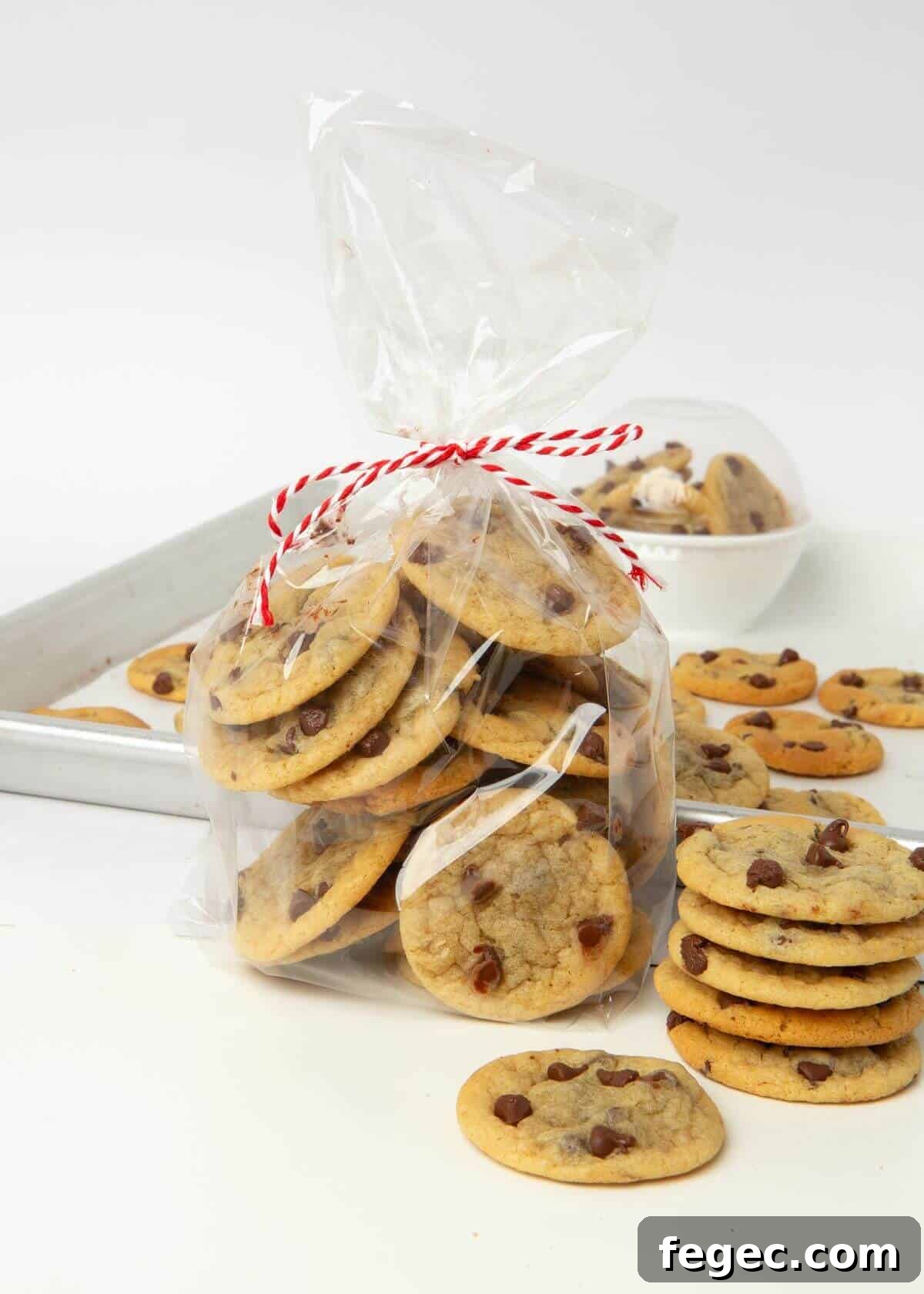 mini chocolate chip cookies in gift bag tied with ribbon