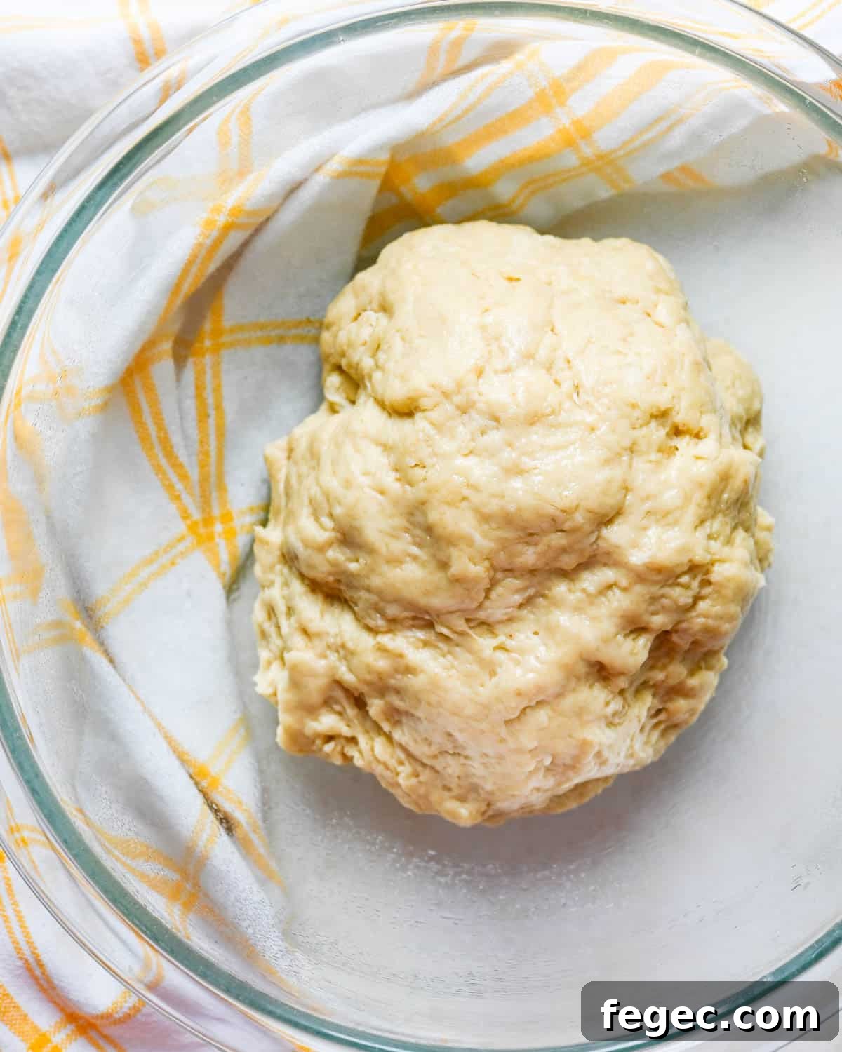 The kneaded dough in a greased bowl to rise.