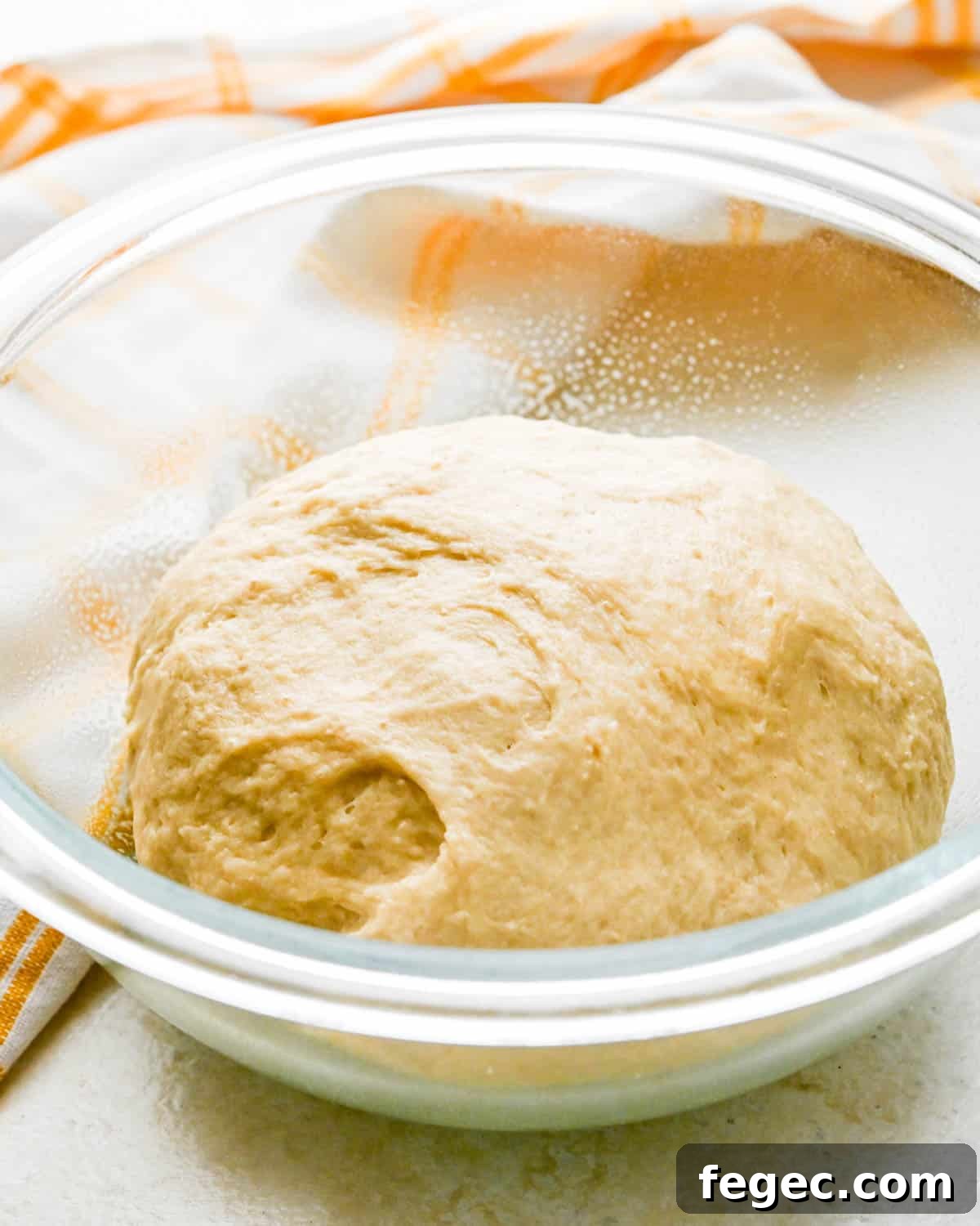The dough after proving the first time. 