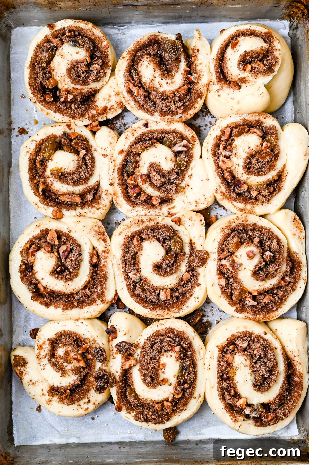 The rolls puff with the second rising.
