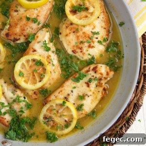 Several chicken breasts with lemons are presented in a skillet.